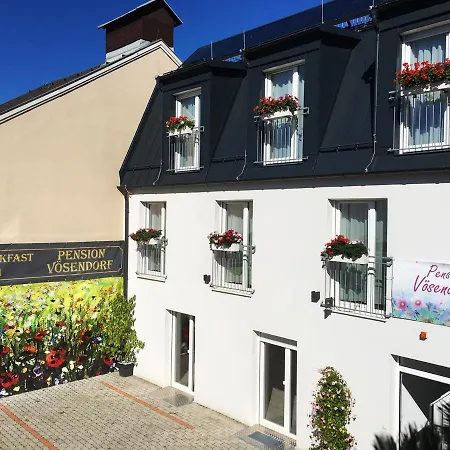 Pension Voesendorf Pensjonat Vösendorf